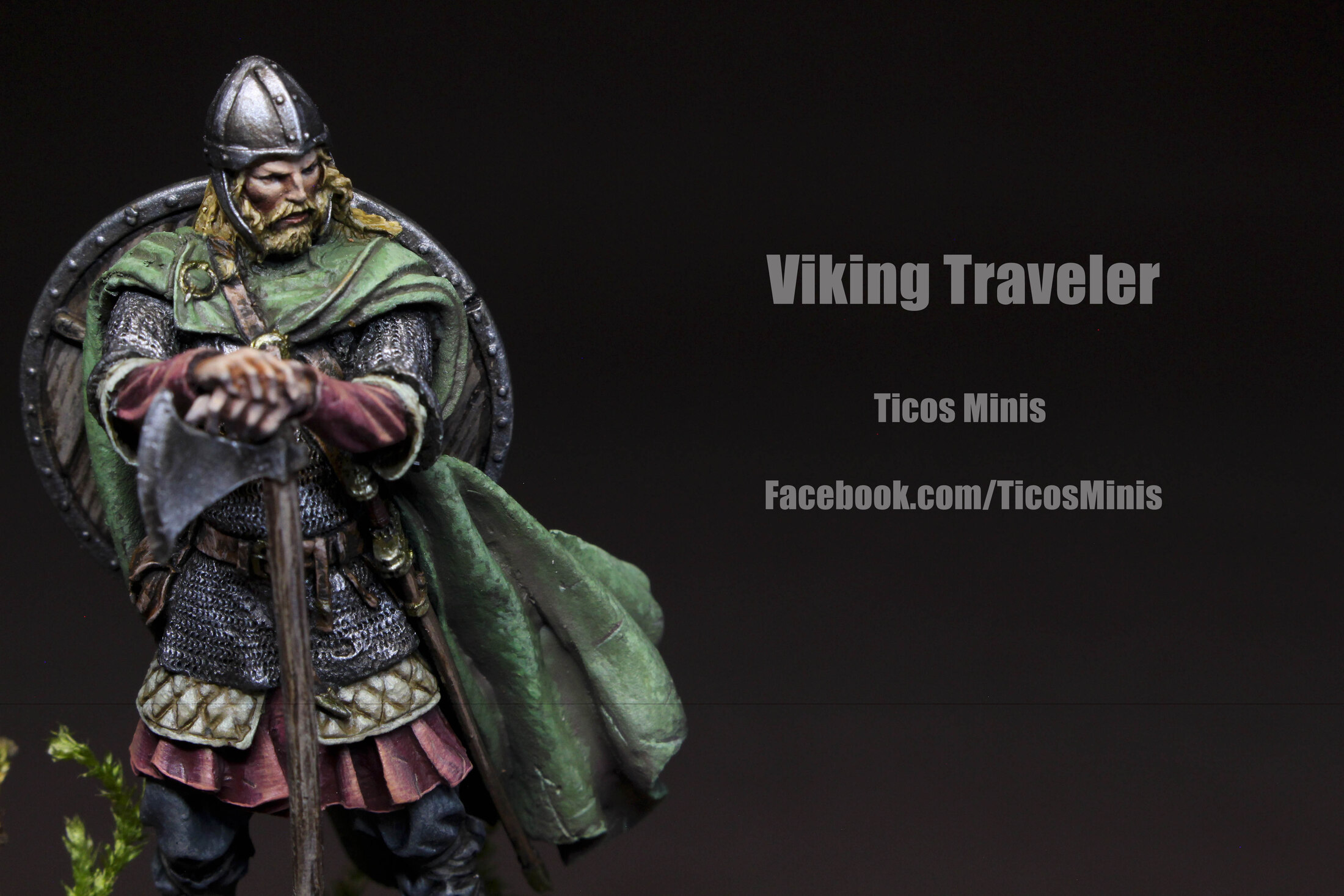 Viking Traveler